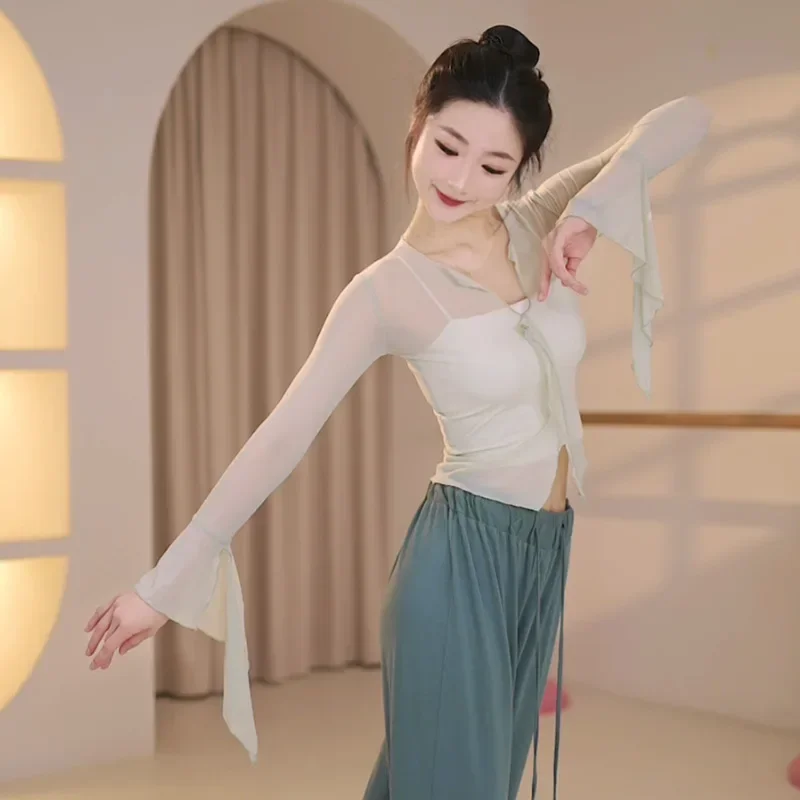 Dance clothes adult female classical dance body rhyme gauze clothes elegant practice clothes art test hanfu folk dance  top
