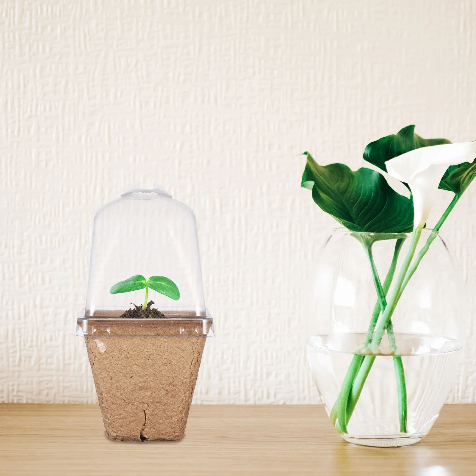 

20pcs Nursery Paper Planting Pots with Drainage Holes 6cm Square Mouth Succulent Seeds Pots Indoor Planter