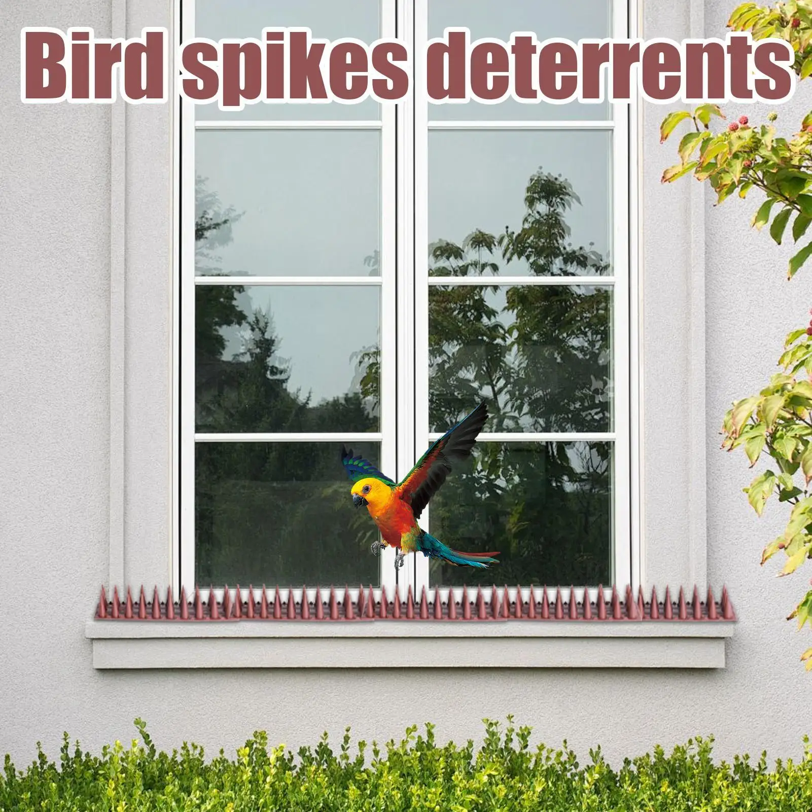 

Шипы для птиц, 12 шт., шипы для предотвращения птиц на выезде, защитник, пробка для животных, голуби, белки, еноты, защита для улицы