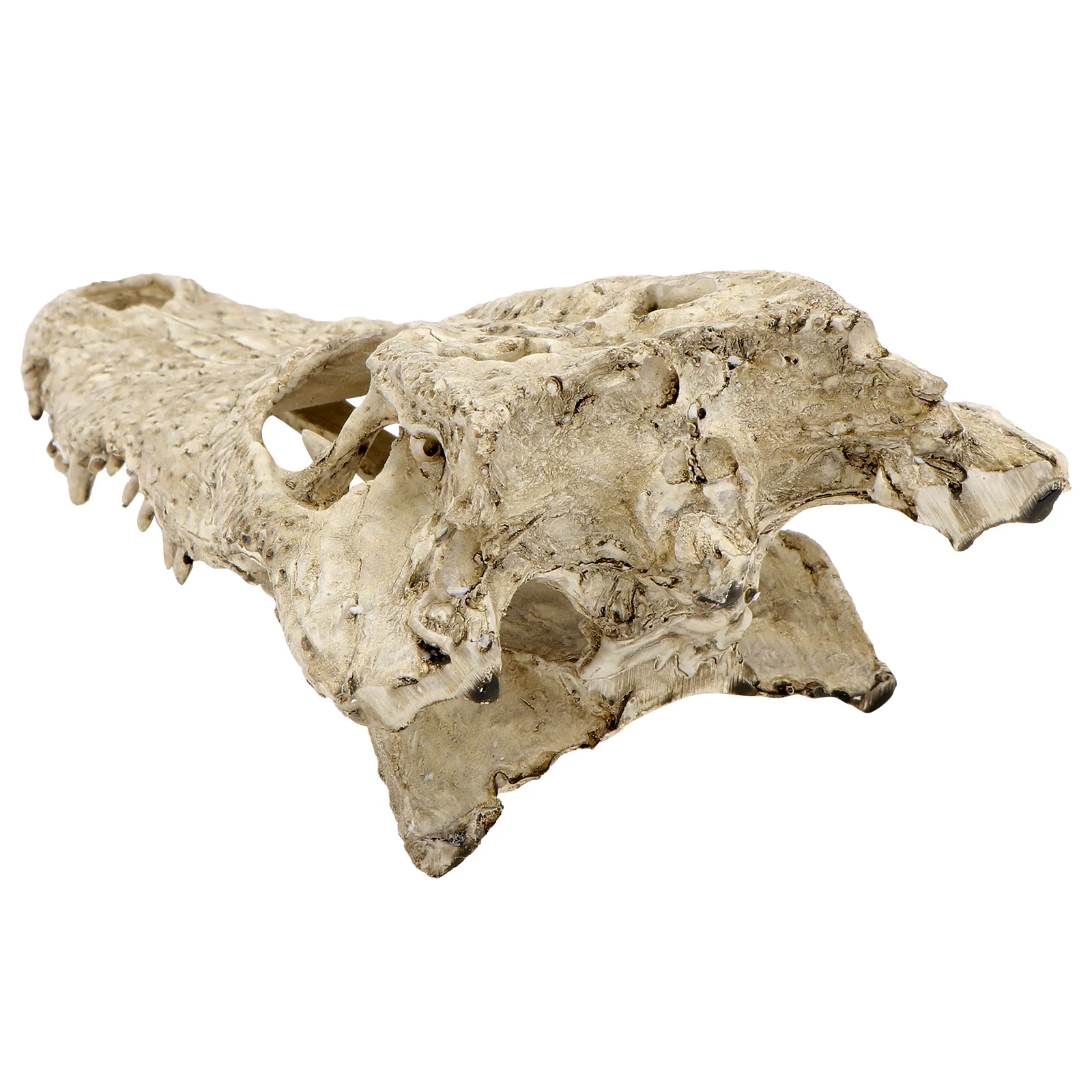 

1pc Dinosaur Crocodile Skull Resin Craft Micro Landscape Ornament Fish Tank Decor Desktop Decoration Simulation Art Sculpture