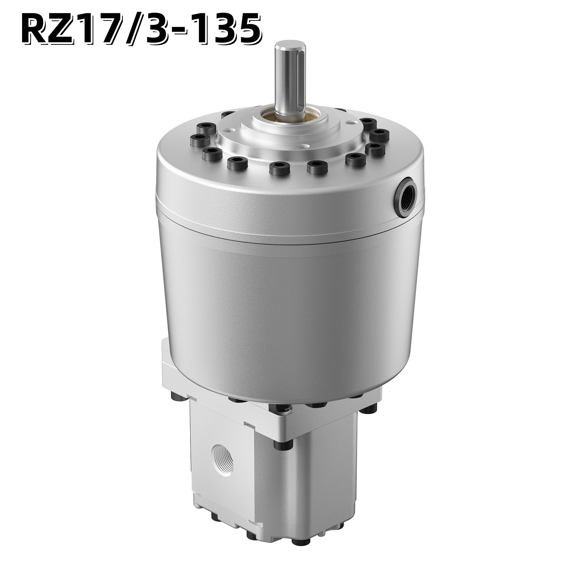 Factory Best HAWE Hydraulic R RZ 17/3 Two-stage Pump 350Bar HAWE Radial Piston Pump PE12 With Gear Pump Hydraulic Power Pack