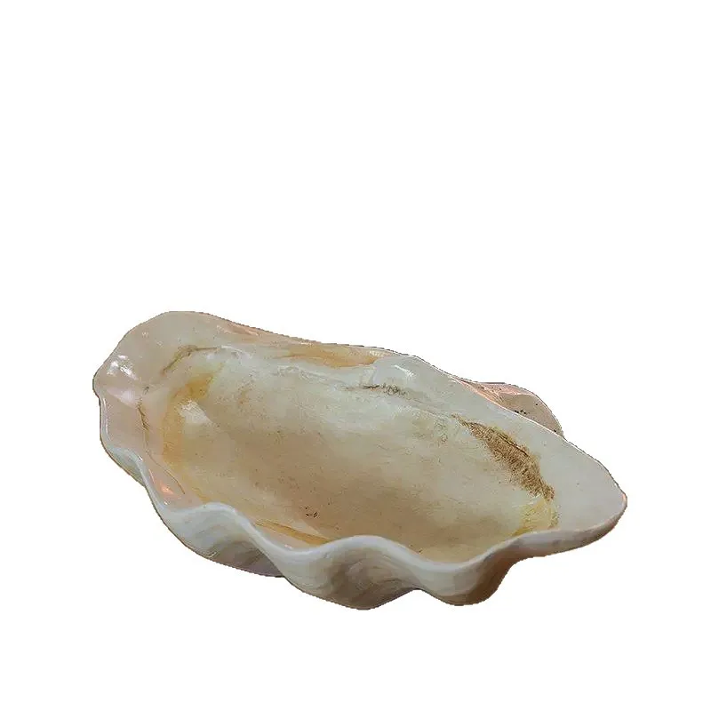 Clam tray ornament, aromatherapy base, wabi sandy wind art shell ornament, tabletop ornament, tray, fruit plate.