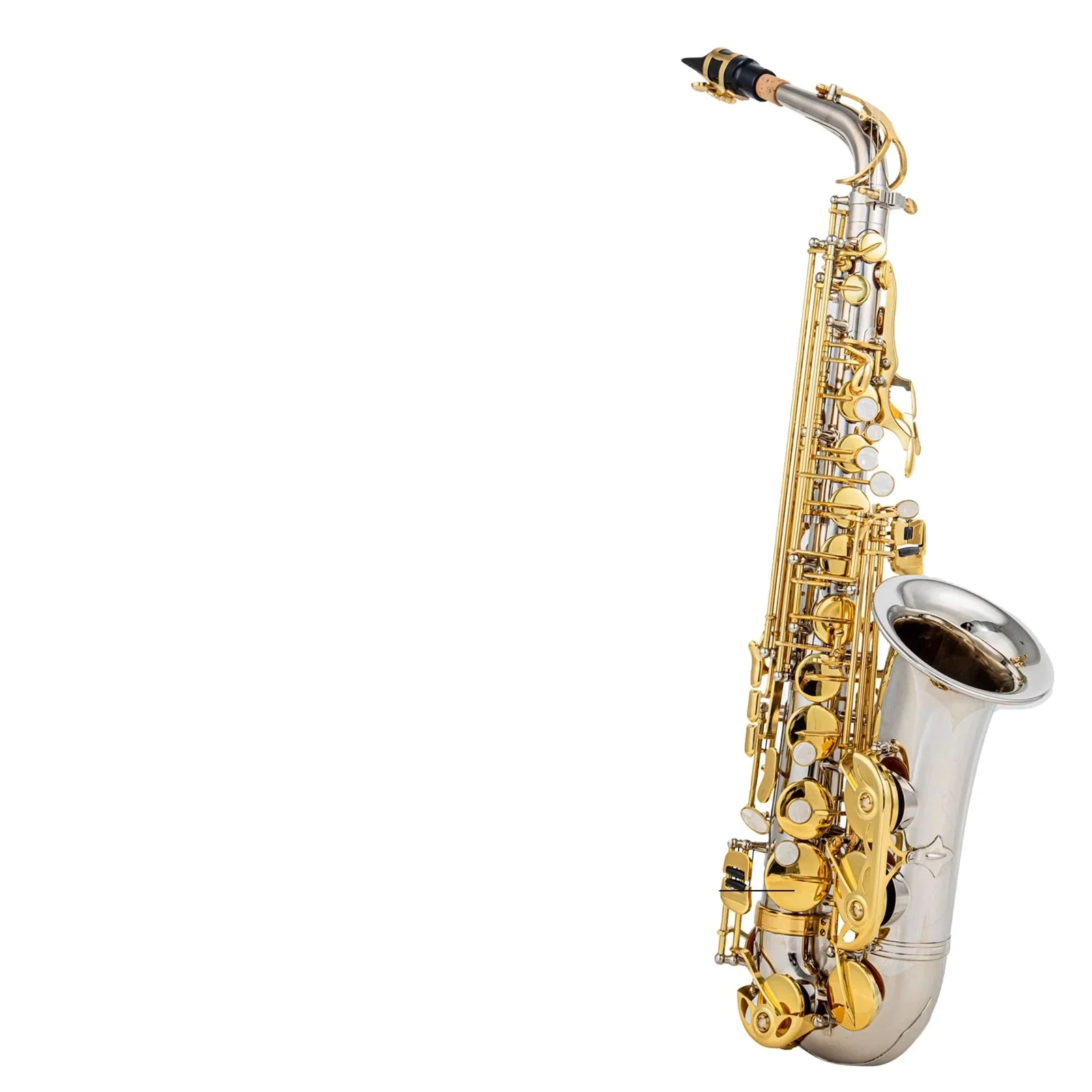 Sources Saxophone E-flat Alto Saxo Western Wind Instruments Beginner Beginner