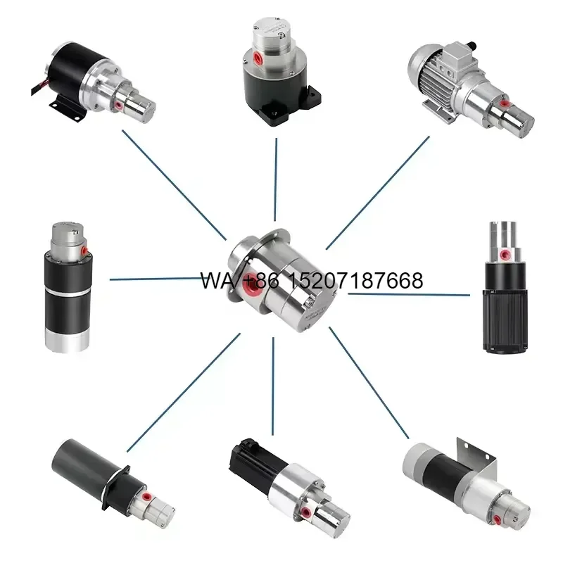 Wmwmnu for Non Leakage DC 12V 24V Chemical Small Magnetic Drive Pump Micro Annular Gear Pump Gear Metering Pump Use for
