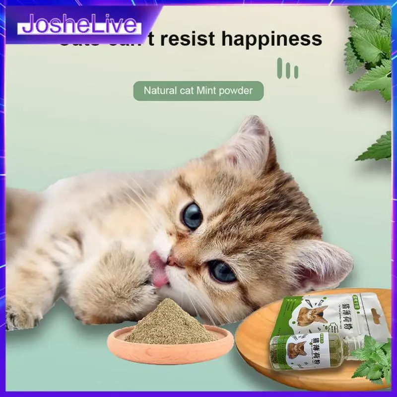 Natural Catnip Mint Leaf Powder Cat Toys Menthol Flavor Clean Teeth Healthy Care Cats Toy Organic Premium Catmint Leaves