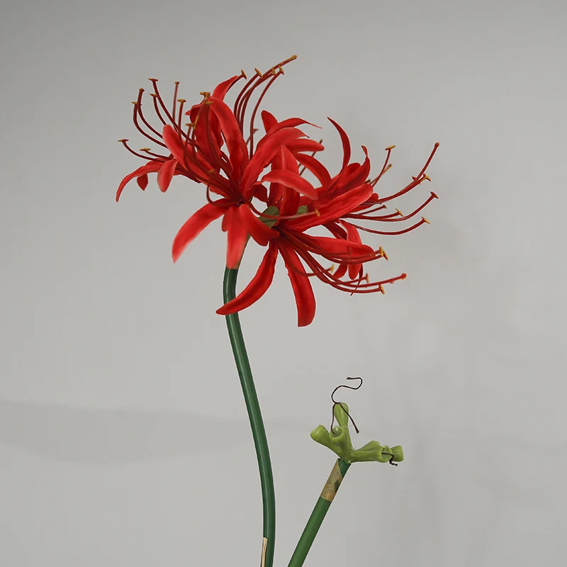 Artificial Red Spider Lily Silk Flowers with Long Stem Home Table Decor  Paramita Lycoris Radiata Mandala Manjusaka Silk Flowers - AliExpress 15