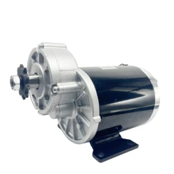 450W 600w 36V 48V DC Brush Gear motor ,Brushed Motor, MY1020Z, Brushed Motor Direct Current Permanent Magnet Brush Motor