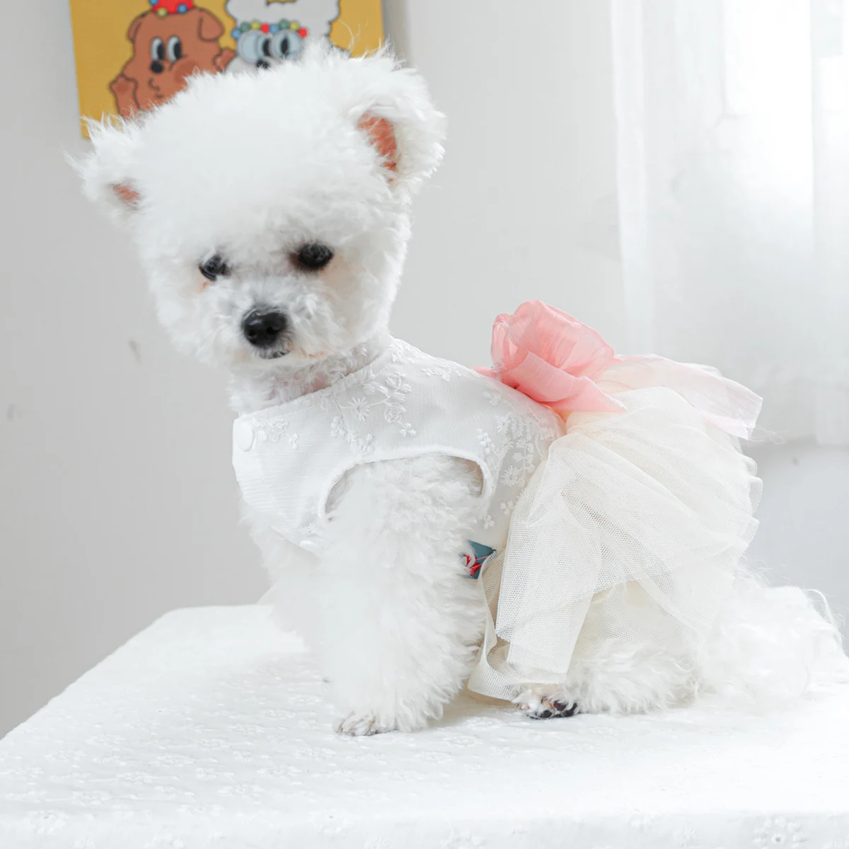 1PC Pet Clothing Cat Spring/Summer Thin White Micro Wedding Dress Princess Dress Suitable for Small and Medium Dogs