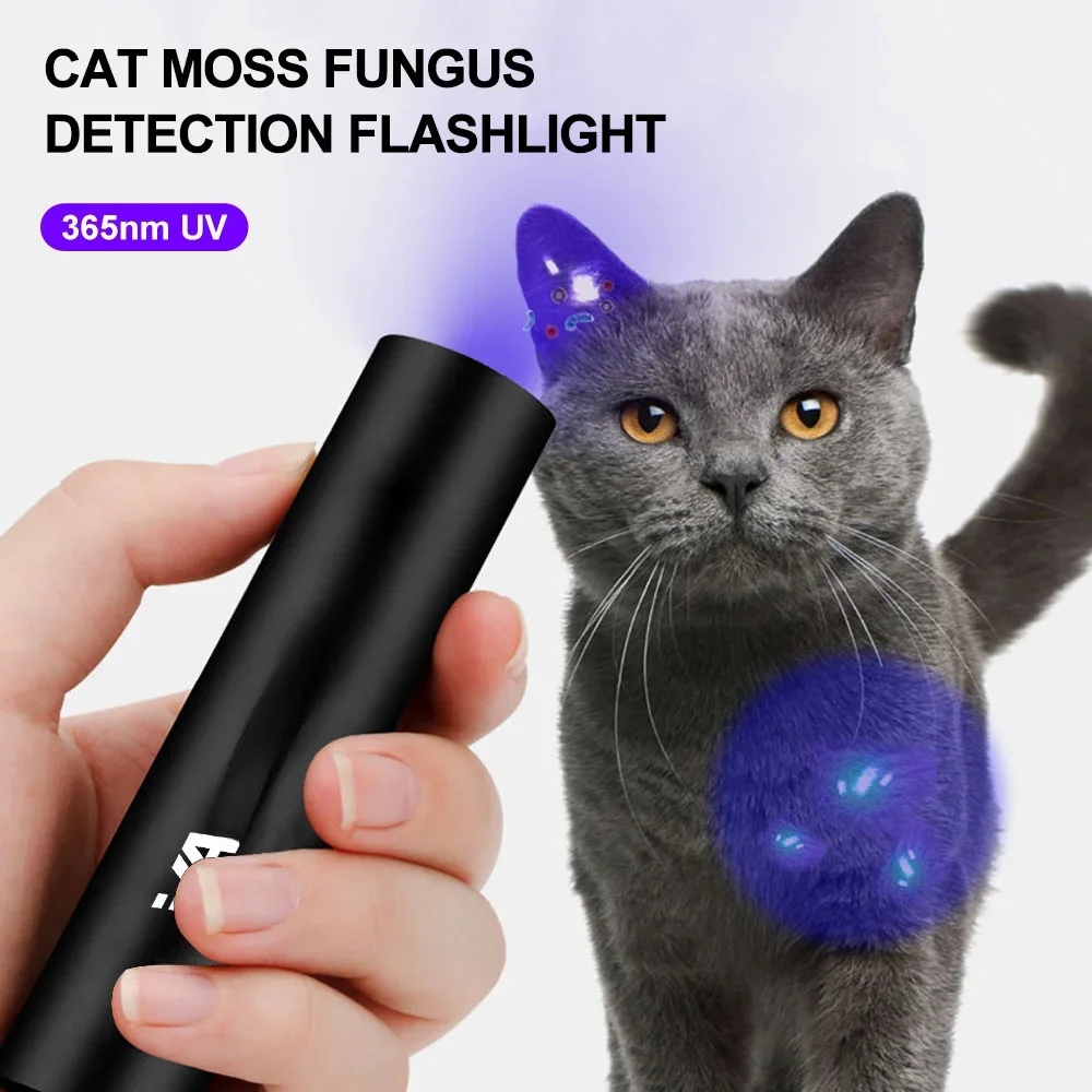 USB Rechargeable 365nm UV Flashlight Ultraviolet Lamp Torch Black Light Pet Moss Detector For Cat Dog Stains Bed Bug Moldy Food