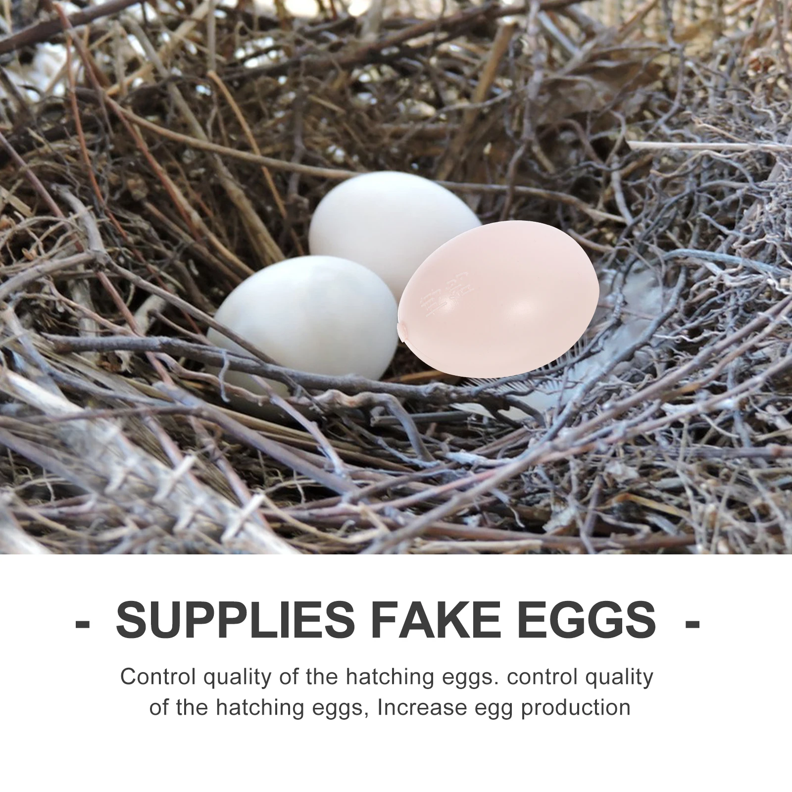 

10 Pcs Fake Pigeon Eggs Water Filled Lifelike Decorative Creative Hatching Incubation Control Quality Increase Production Smooth