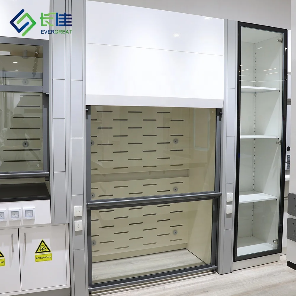 

All Steel Walk-in Fume Hood Ductless Chemical Lab Equipment Research Biology Hospital University Lab Furniture