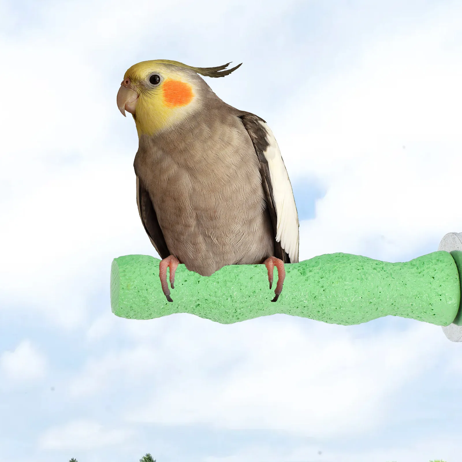 

Resin Bird Cage Perch Parrot Paw Grinding Stick Stand Platform Nail Trimming Natural Grip Parrot Perch Accessories Small