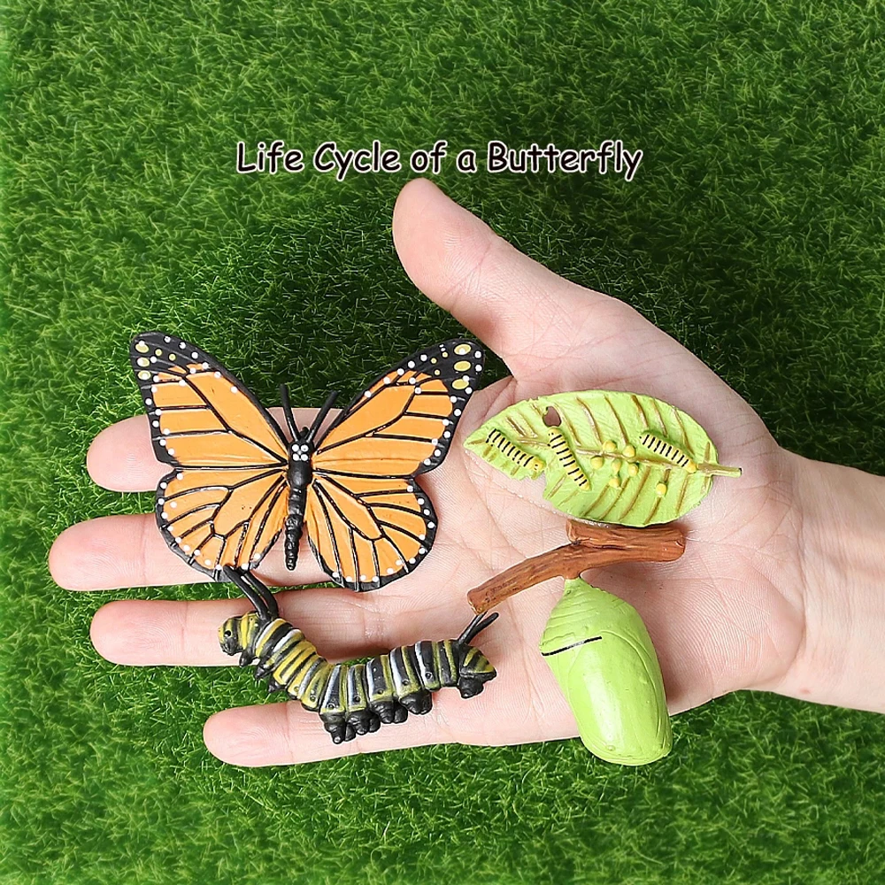 Material Plastic Models Butterfly Growth Cycle Chicken Action Figures Simulation Animals Growth Cycle Model Life Cycle Figurine