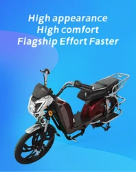 OEM,22 Inch Heavy Type Electric Bike Household электровелосипед 800W Cargo E-bike Lithium Battery Electric Bicycle,Manufacturer