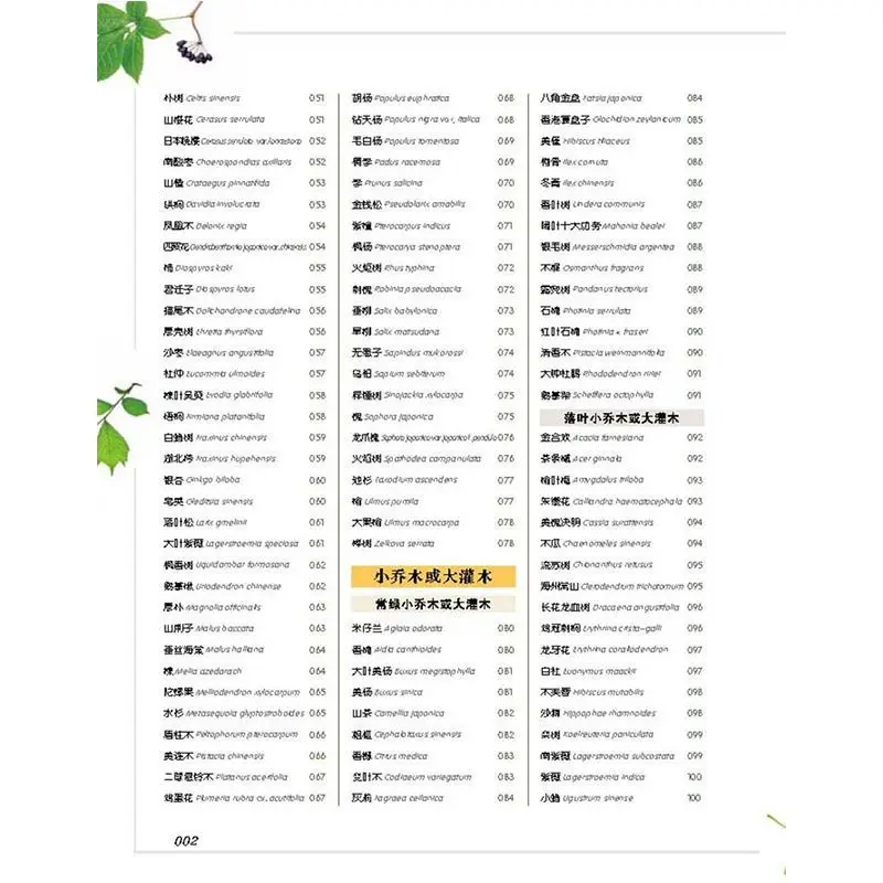 一般的な木の手を示し、自然なアンダマスクの人々のための危険性、および品質を調整します