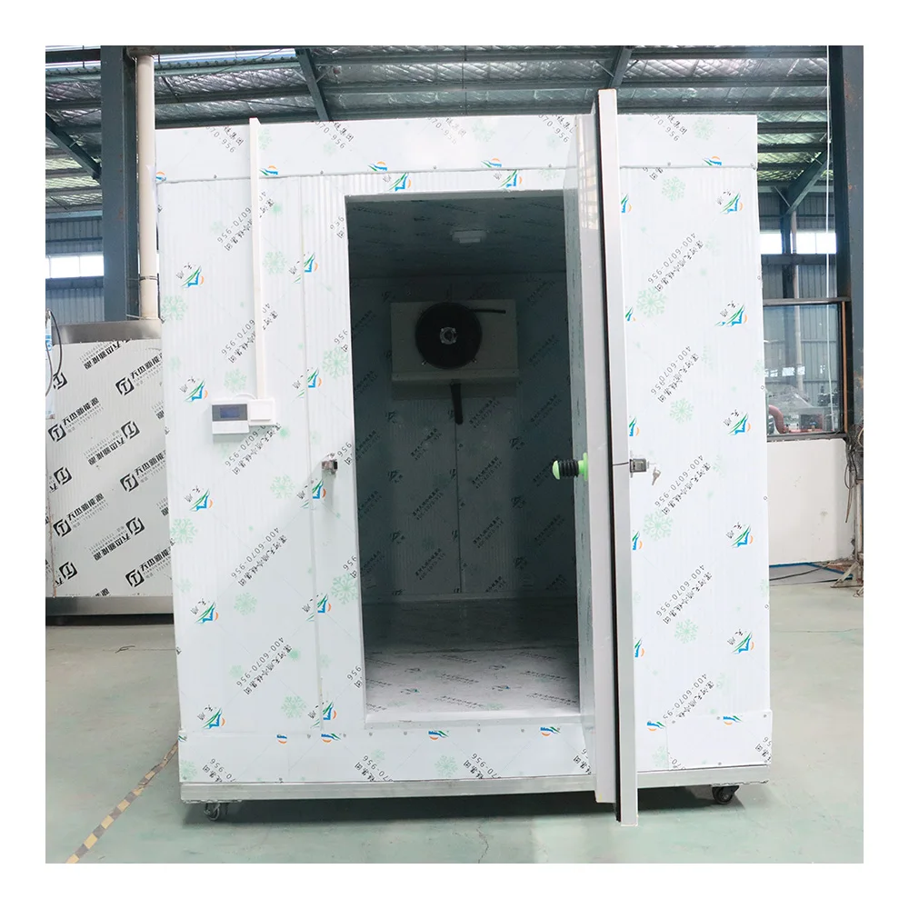 Automatic Machine Wall-mounted Monoblock Unit Cold Storage Refrigeration Equipment System