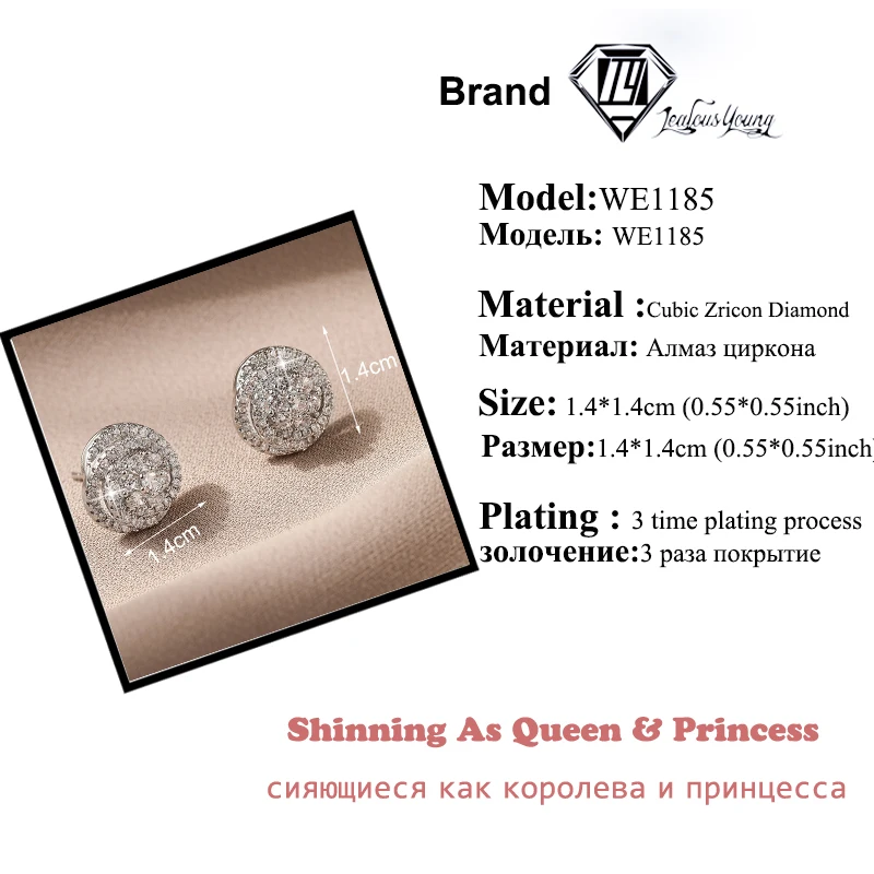 Cubic Zirconia Silver Color Stud Earrings Fashion Flower for Women Hip Hop Male Trend Personality Jewelry Gift Brincos