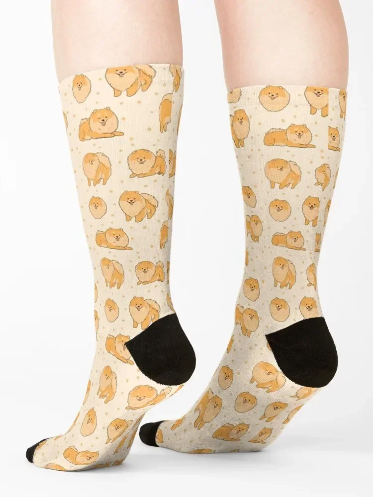 Cute Pomeranian pack - a cute pomeranian dog illustration Socks Wholesale Stockings Novelties new in's Man Socks Women's