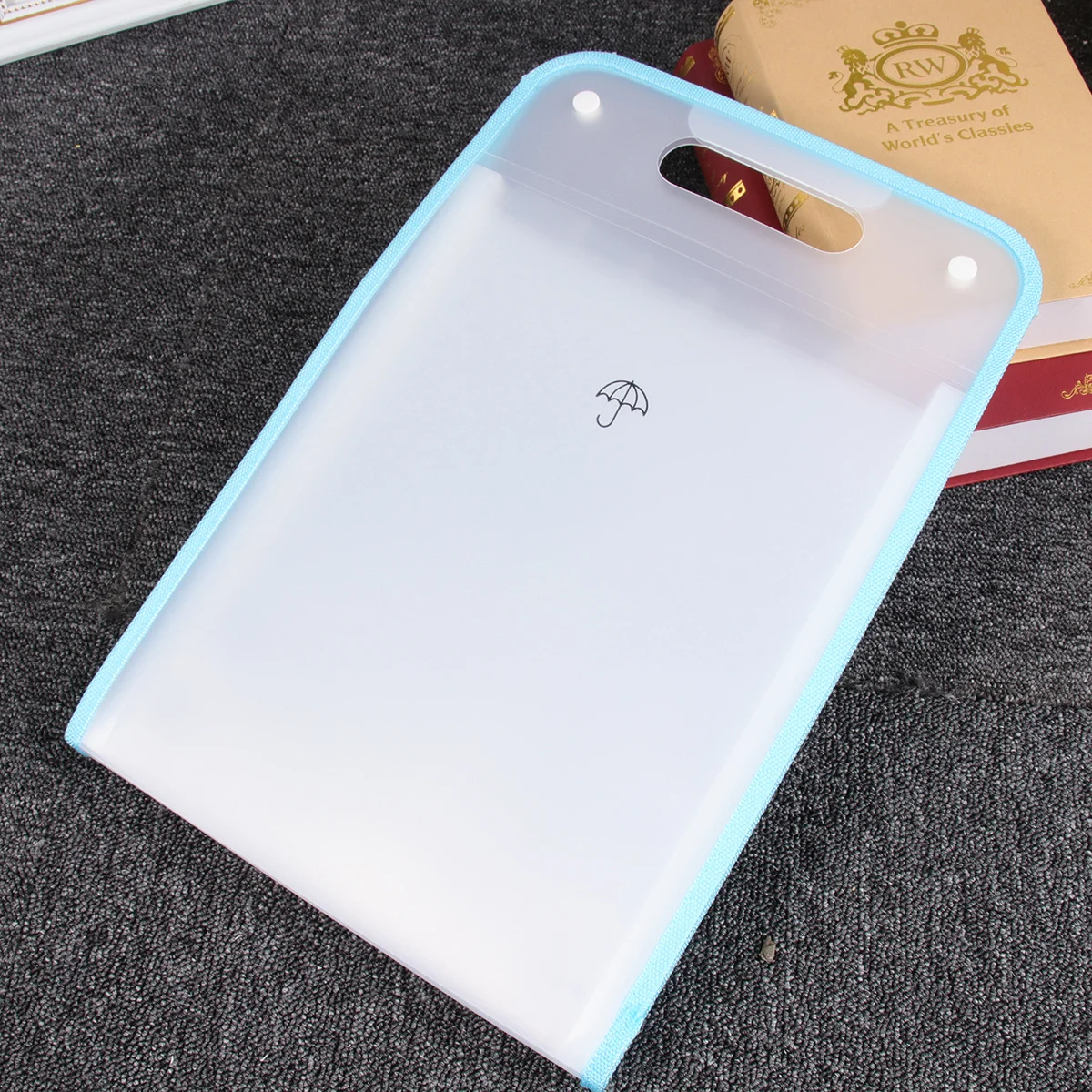 

Organ Pack Folder Clips Bill Schedule Book Accordion Colorful Transparent Retro
