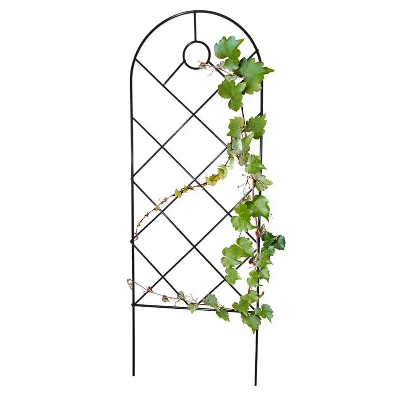 

New Trellis For Climbing Plants Outdoor House Plant Trellis Indoor Rust Proof Iron Lattice Grid Panels For Climbing Plants Cucum