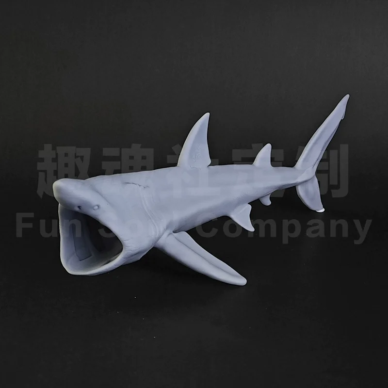 

1/35 22cm Cetorhinus maximus Model Toys Ancient Prehistroy Animal Model Gk Customize 3D Printing