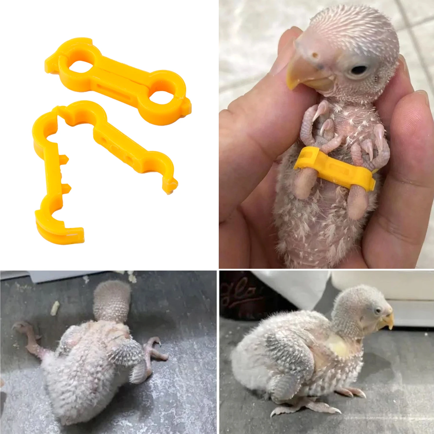 Estabilizador de pierna para pollito, banda de corrección de piernas para bebés y pájaros, soporte útil para piernas de loro para recién nacidos, suministros para piernas de pájaros, 3 uds.