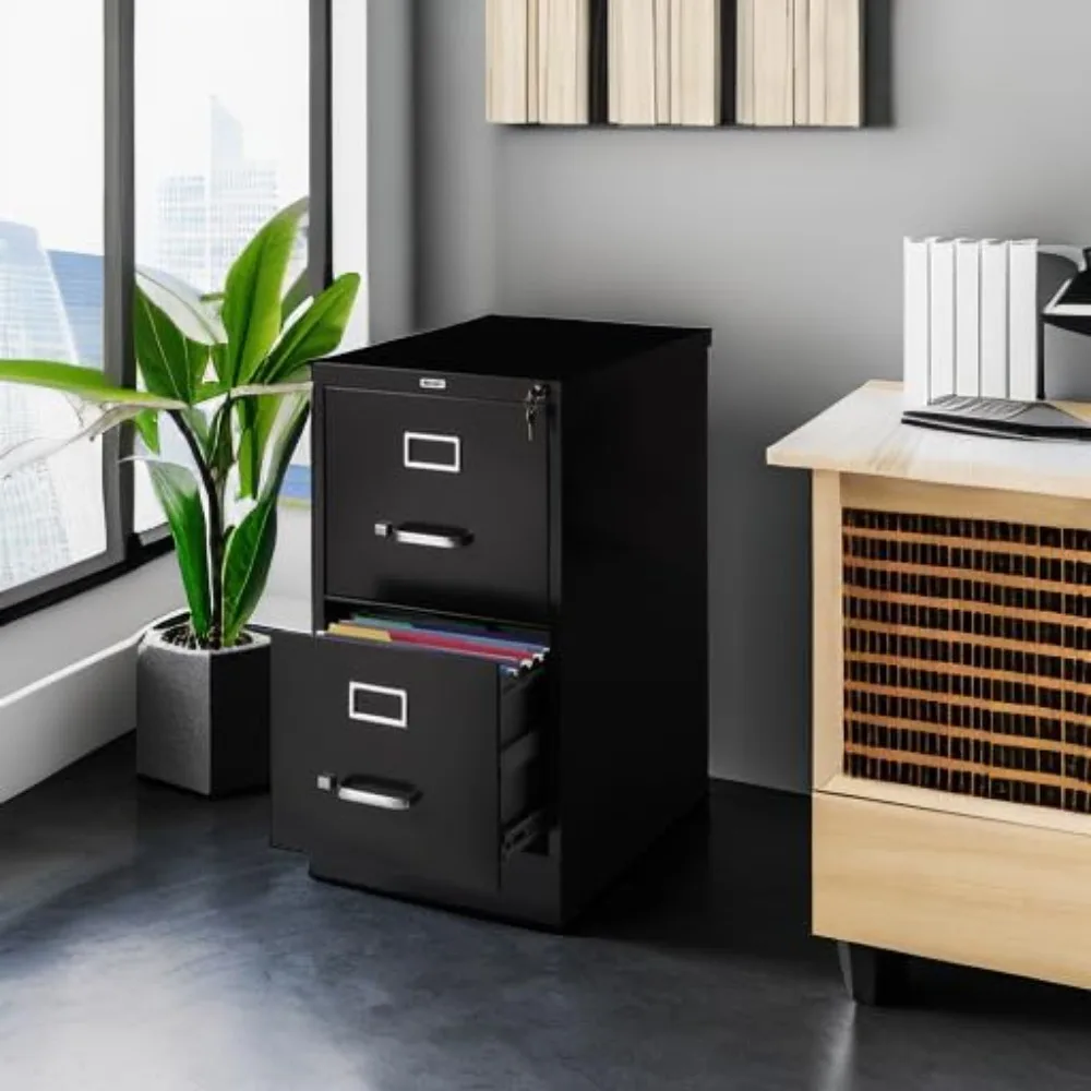 Vertical 2-Drawer Letter Size File Cabinet Lockable Black Storage Cabinet 22x15x28.38
