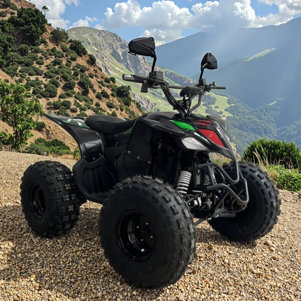 Hot Selling Electric ATV 2WD Automatic Shaft Drive 75-100Km/h Factory Customization with CE