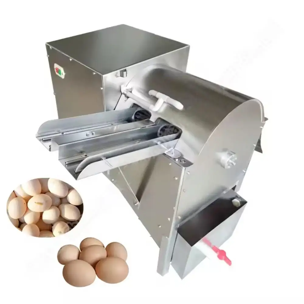 ماكينة غسل البيض مع فرشاة دوارة - ماكينة تصنيف وتغليف البيض، معدات تنظيف البيض الأوتوماتيكية التجارية