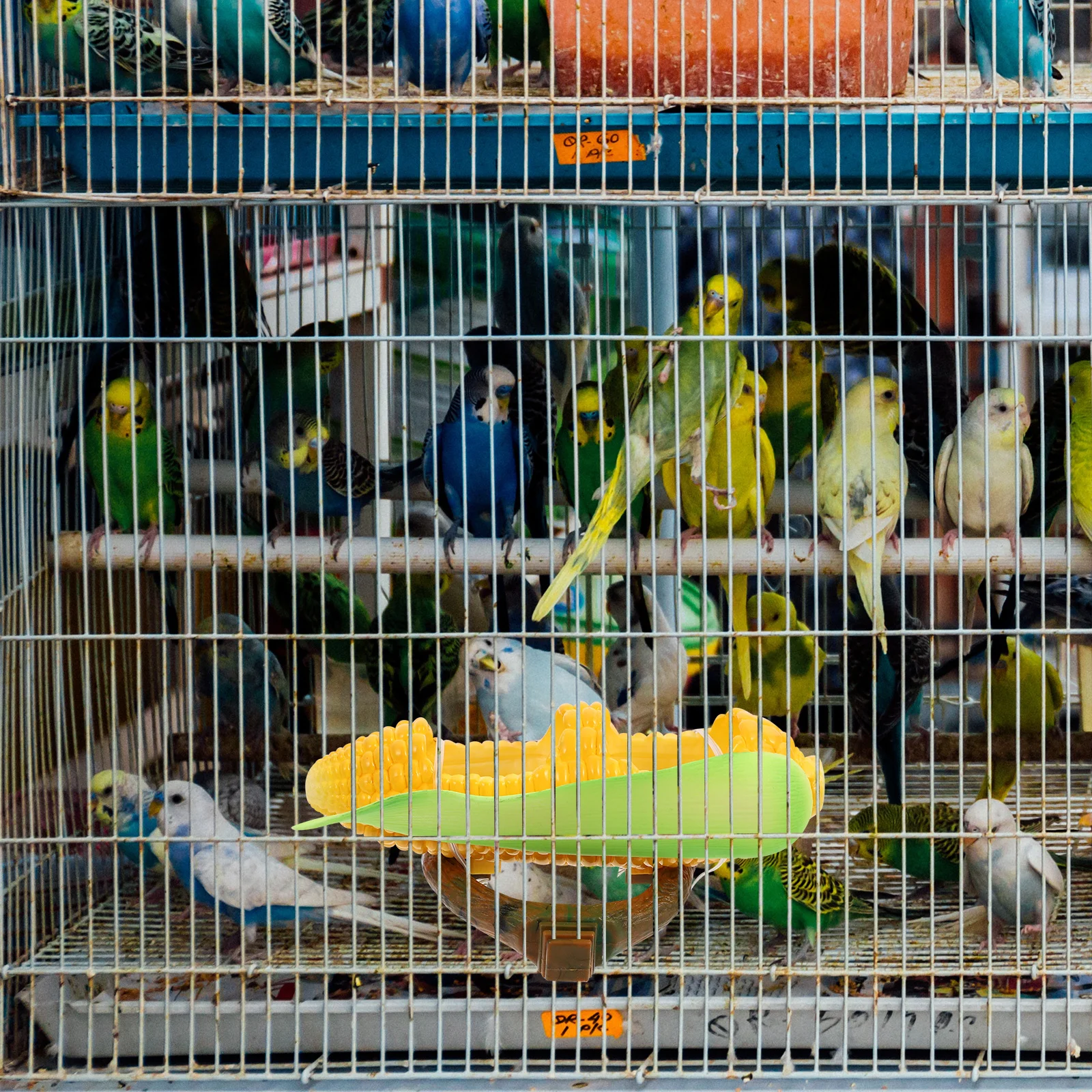 

Fruit Feeder For Birds Premium Parrot Feeding Bowl Durable Plastic Pet Food Container Outdoor Travel Supply Corn Shaped