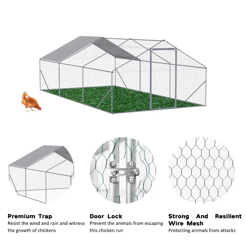 Outdoor Chicken Coop Metal Big Space 20*10*6FT for Outdoor Farm Use and Aninal Accessories