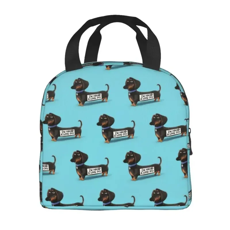Bolsa de almuerzo con aislamiento para cachorros divertidos de perro salchicha para mujer, refrigerador térmico impermeable para mascotas, fiambrera para playa, Camping, viaje