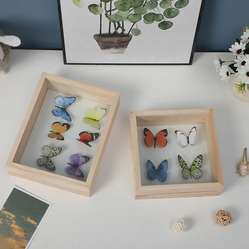 Premium Transparent Insect Specimen Display Box Wooden Butterfly Collection Case Dustproof Desktop Adornment Specimen Storage