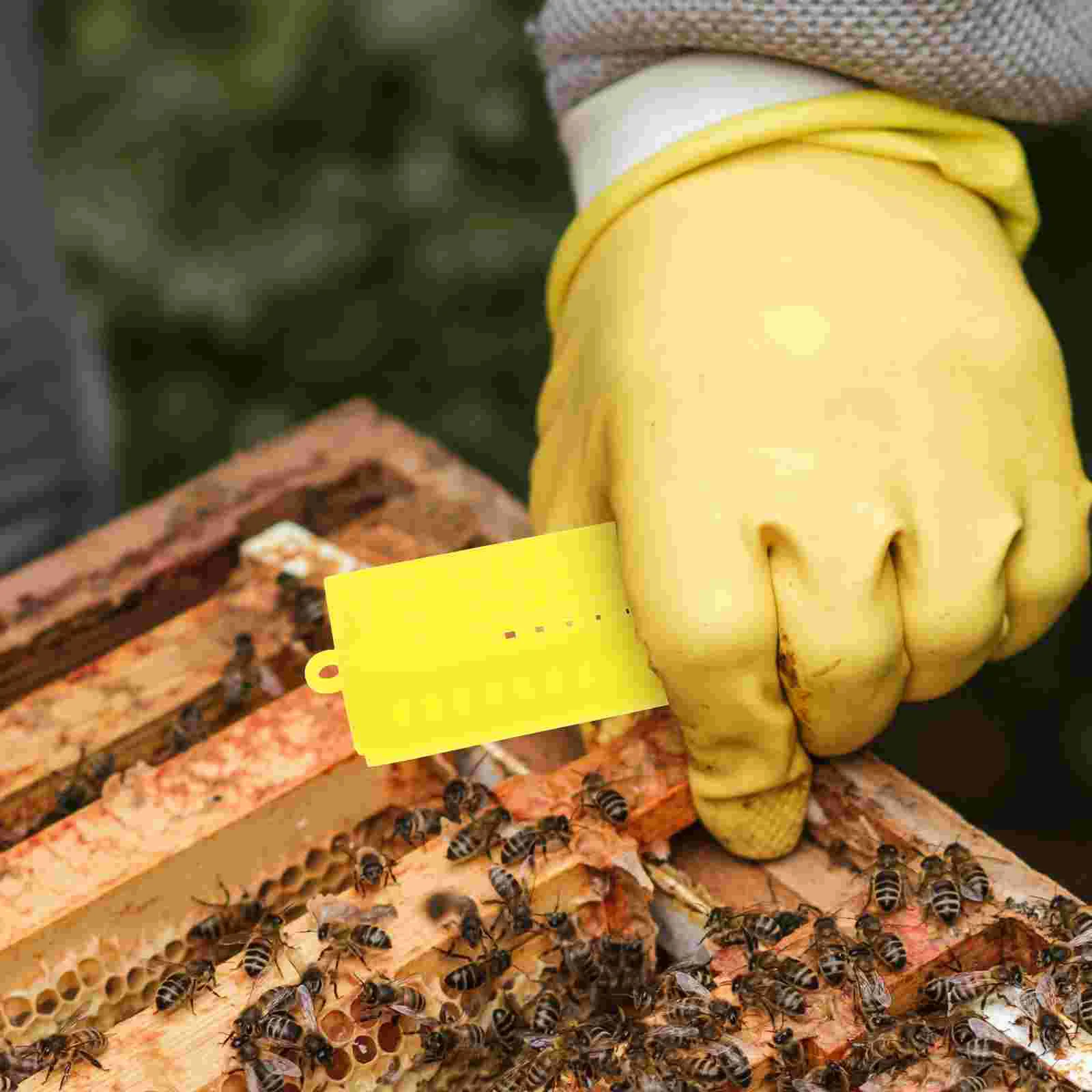 10 Pcs Tools Extended Queen Cage Beekeeping Rearing Cages Kit Bee Incubation Base Beekeeping Equipment Bee Rear Tools