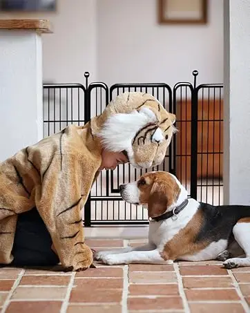 dog playpen indoor