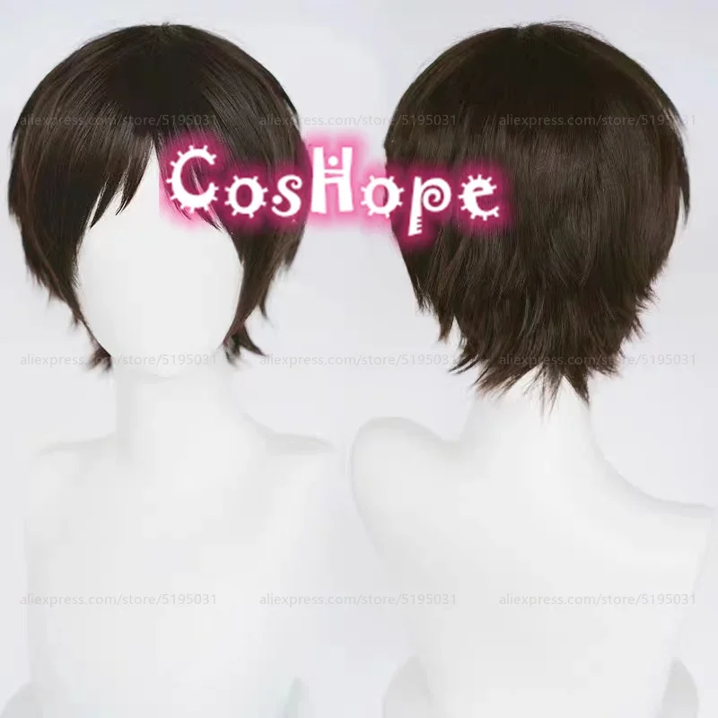 Eren Cosplay Mikasa Wig Short Dark Brown Black Wig Cosplay Anime Cosplay Wigs Heat Resistant Synthetic Wig