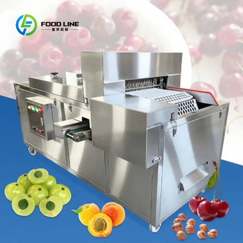 Automatic Palm Pits Removing Machine Fruit Core Seeds Remove Dates Cherry Litchi Olive Pitter Medjool Date Pitting Machine