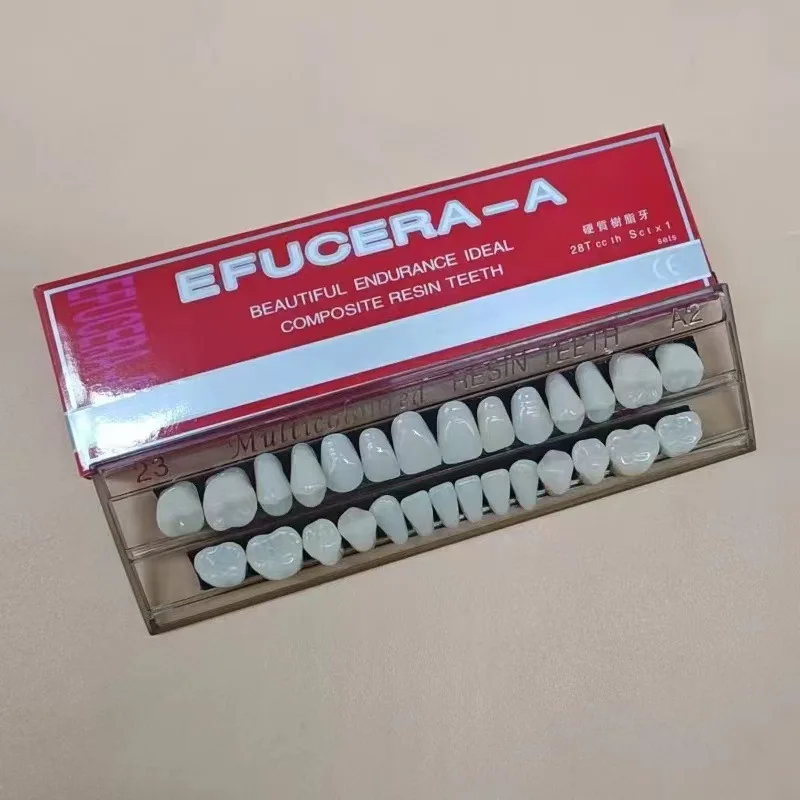 

1 set 28 Teeth Resin Denture Teeth Teaching Model Dental Synthetic Resin Teeth Permanent Teeth Model Dental Material
