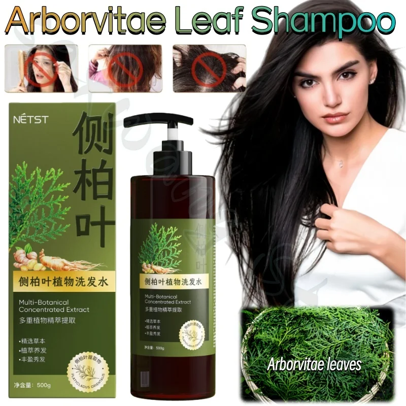 

Herbal Arborvitae Leaf Ginger Shampoo Refreshes, fluffs and strengthens hair, soothes hair follicles and improves roughness
