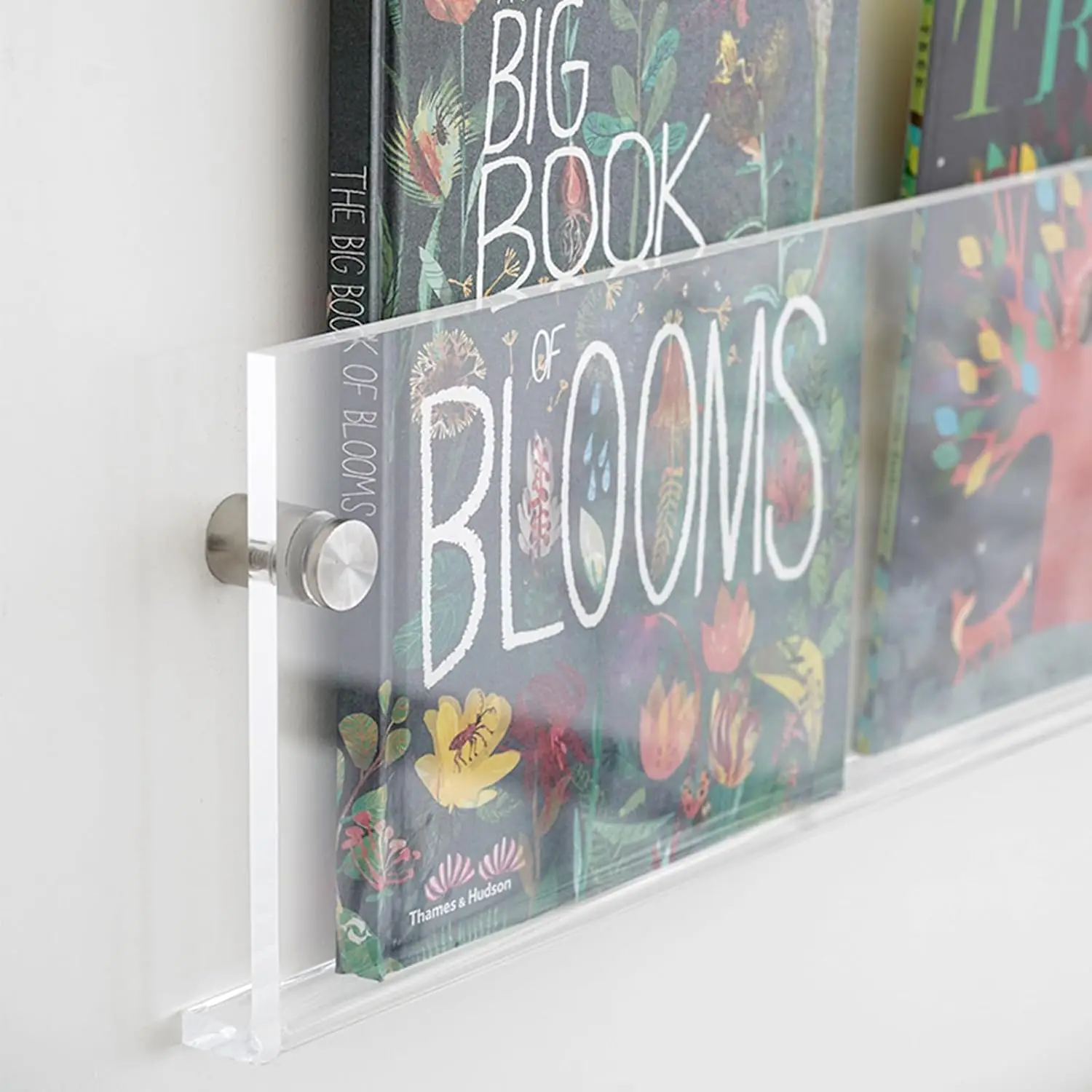 Acrylic Magazine Holder Wall Mounted, 4-Pack 17 Inch Floating Bookshelves for Vinyl Records, Living Room, Office