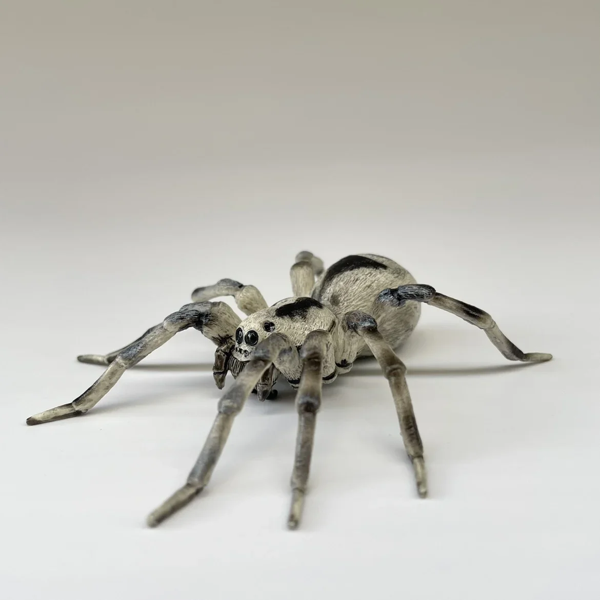 Tarantula pająk symulacja owada Model zwierzęcia kolekcja zabawek Ornament plastikowa zabawka statyczny Model figurka zwierzątko