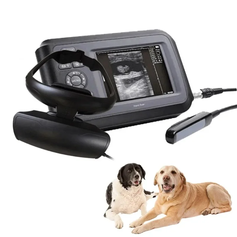 

Ecografo Portatil De Vet Animales Ultrasound 2D 3D
