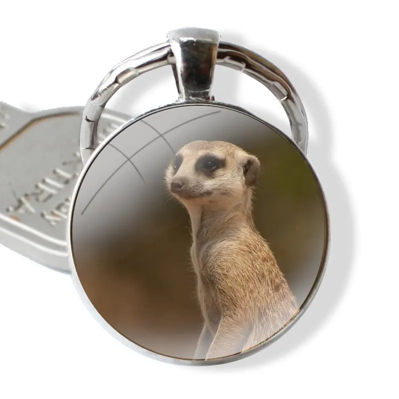 Glazen Cabochon Sleutelhanger Auto Sleutelhanger Bedels Sleutelhangers Geschenken Schattige Baby Meerkat Accessoires Telefoonhoesjes Hoesjes Hoesjes