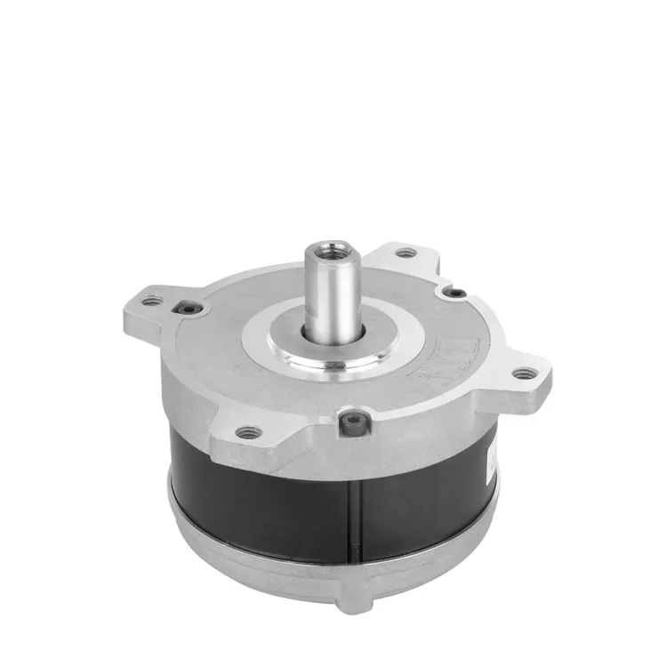 

High Speed Single-Phase 230V 500W Brushless DC Motor for Lawn Mower and Cutter