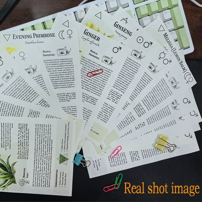 Tincture Recipes Book Crafting Potent Tinctures At Home A Complete Guide To Herbal Remedies Wellness Boosters & Hollstic Healing