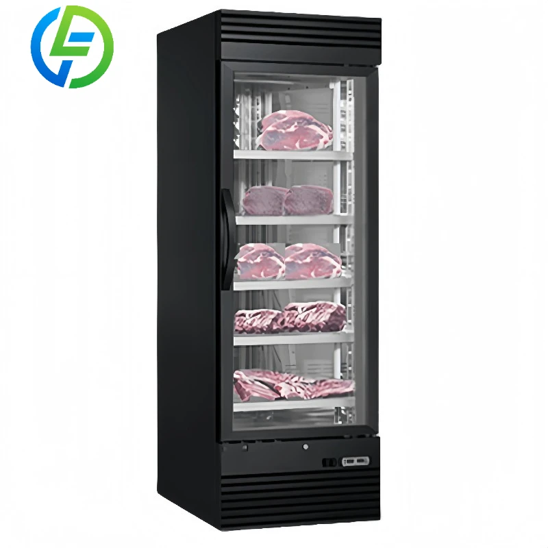 Customize Beef Dry Aging Kitchen Showcase Fan Single-Temperature Meat Ripening Showcase Glass Door Cooler Meat Display