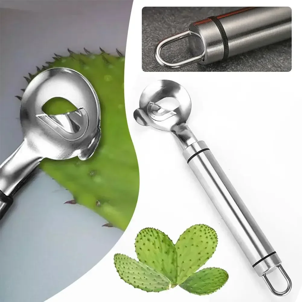 Cuchara peladora de Cactus de acero inoxidable, pelador Nopales en forma de cuchara para herramienta Manual de cocina casera, 1 Uds.