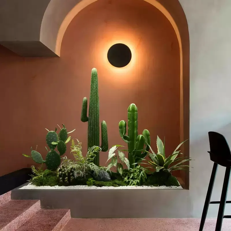 

Simulation Cactus Landscaping Spherical Tropical Plants Large Indoor Potted Decor