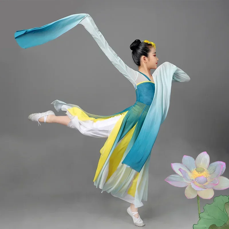 Chinese Folk Dance Classical Water Sleeve Performance Clothing Girls Traditional Yangko Dance Ancient National Fan Dance Outfit