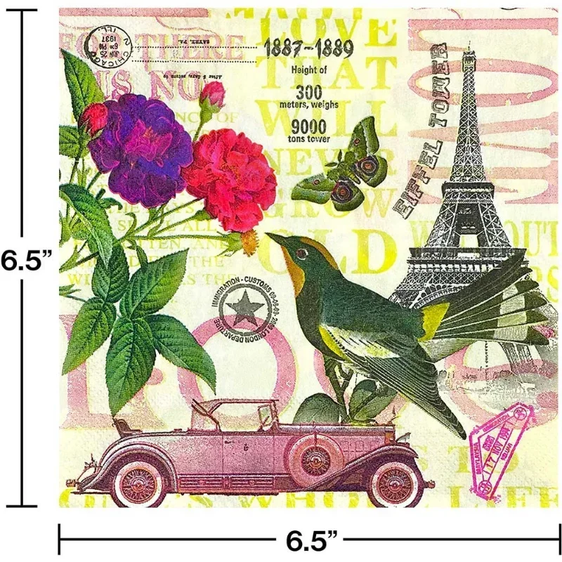 الطيور الباريسية طباعة المناديل الملونة حفلة عيد ميلاد 2 رقائق المناشف الورقية غير المعطرة Jeroboam 20 قطعة